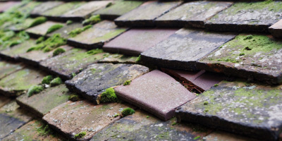 Ringshall roof repair costs